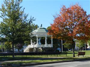 Lynn Common Fall