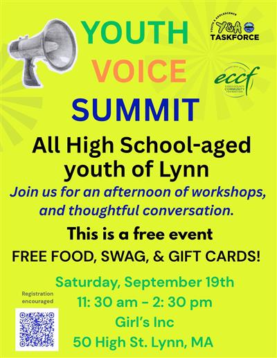 Youth voice summit